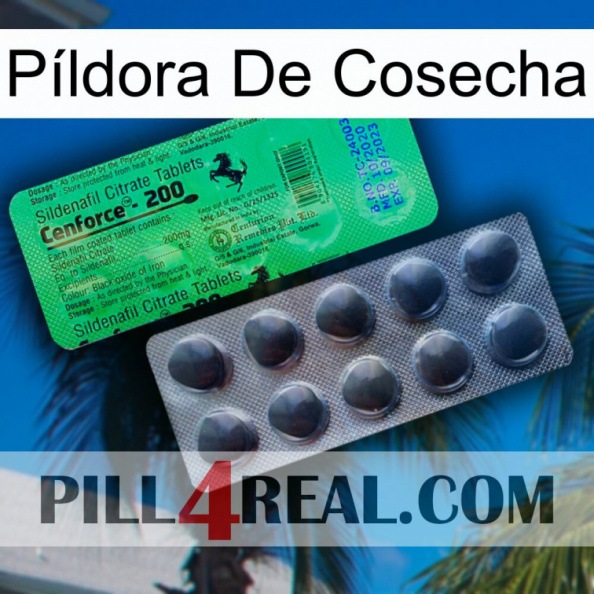 Píldora De Cosecha new04.jpg